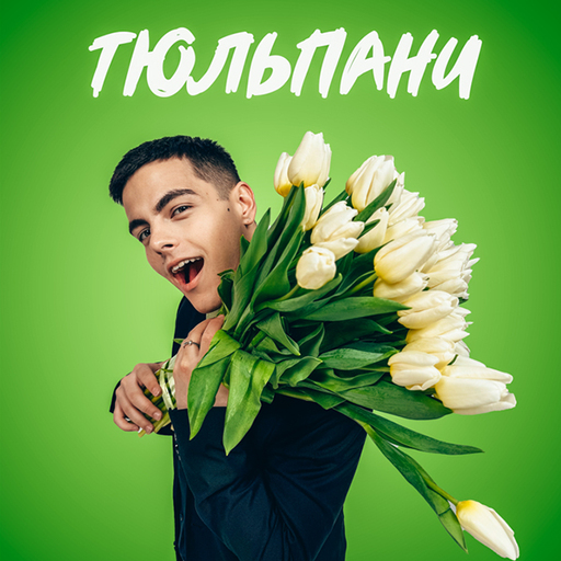 Тюльпани